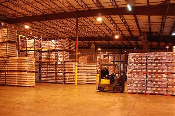 SQF Facilities